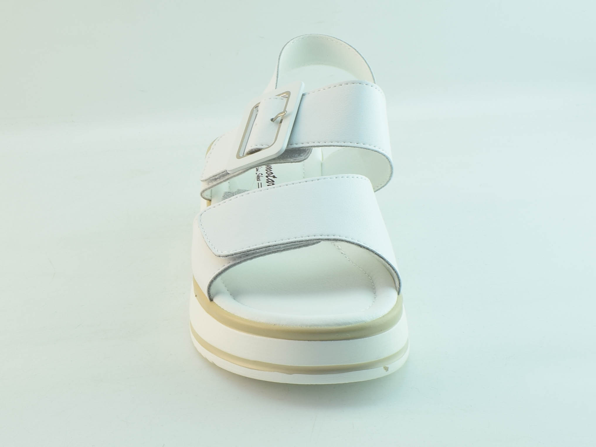 PF121-2(бел)