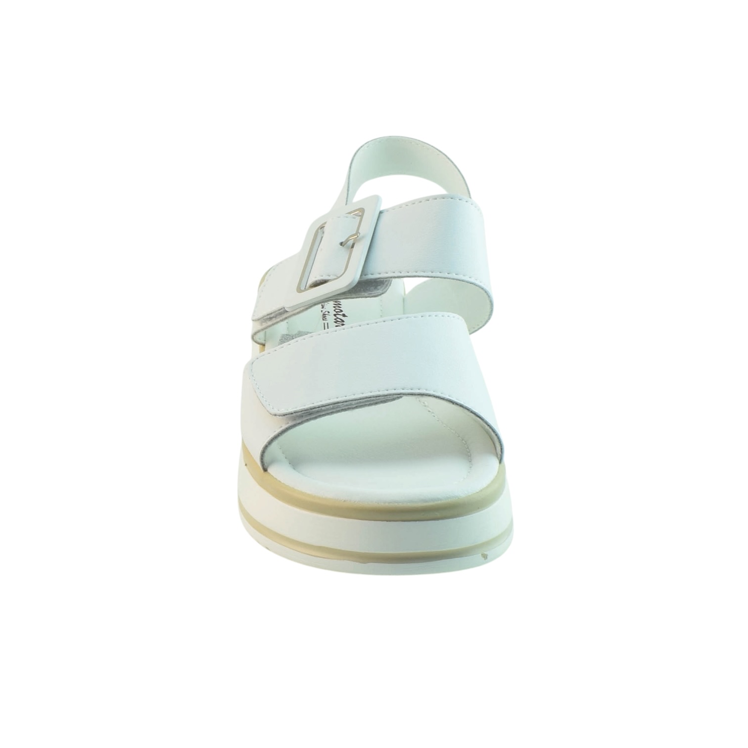 PF121-2(бел)